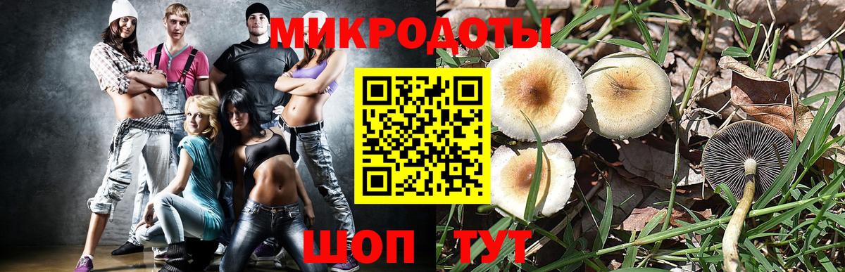 Куйбышев  цена наркотик  Вход с VPN  Галлюциногенные грибы прущие грибы  Галлюциногенные грибы Psilocybe 